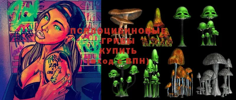 Галлюциногенные грибы Psilocybine cubensis  купить наркоту  Вольск 